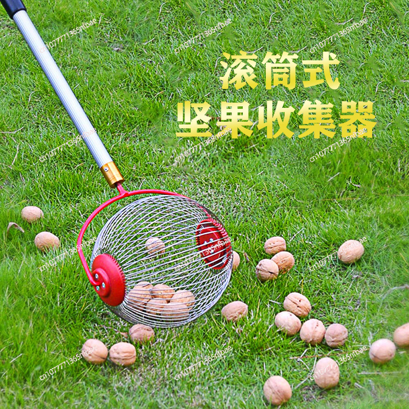 Gardening Tools Amazon - อเมซอน, ที่เก็บผลไม้, ที่เก็บถั่ว, ที่เก็บผลไม้แห้ง, เครื่องมือทำสวน, ที่เก็บวอลนัท,