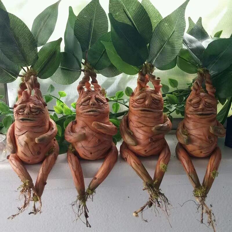 Gardening Tools Amazon - เครื่องประดับเรซิ่นมังกร (Mandrake) ของตกแต่งบ้าน ของตกแต่งสวน เครื่องประดับเรซิ่น สถานีอิสระ