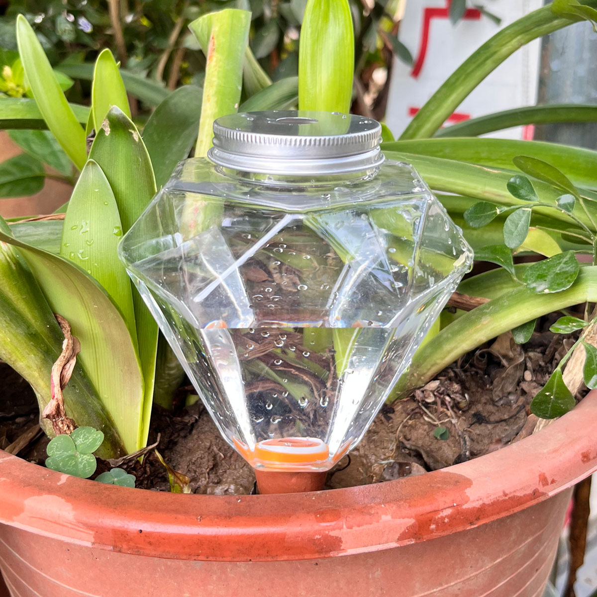 Automatic Plant Waterer - เครื่องรดน้ำต้นไม้พลาสติกน่ารัก 1 ชิ้น แบบอัตโนมัติ สำหรับรดน้ำต้นไม้ในร่มและกลางแจ้ง