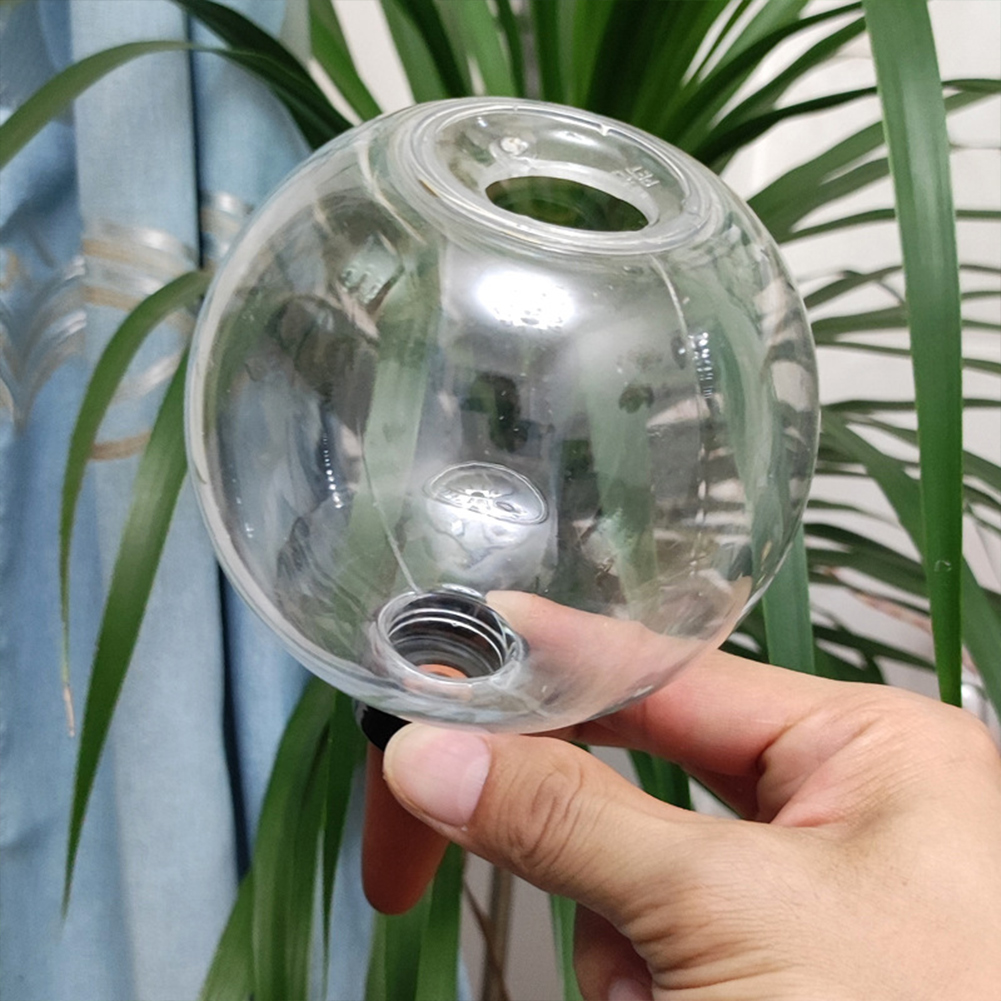 ลูกบอลรดน้ำต้นไม้แบบอัตโนมัติ  - Automatic Plant Waterer บทวิจารณ์และราคา