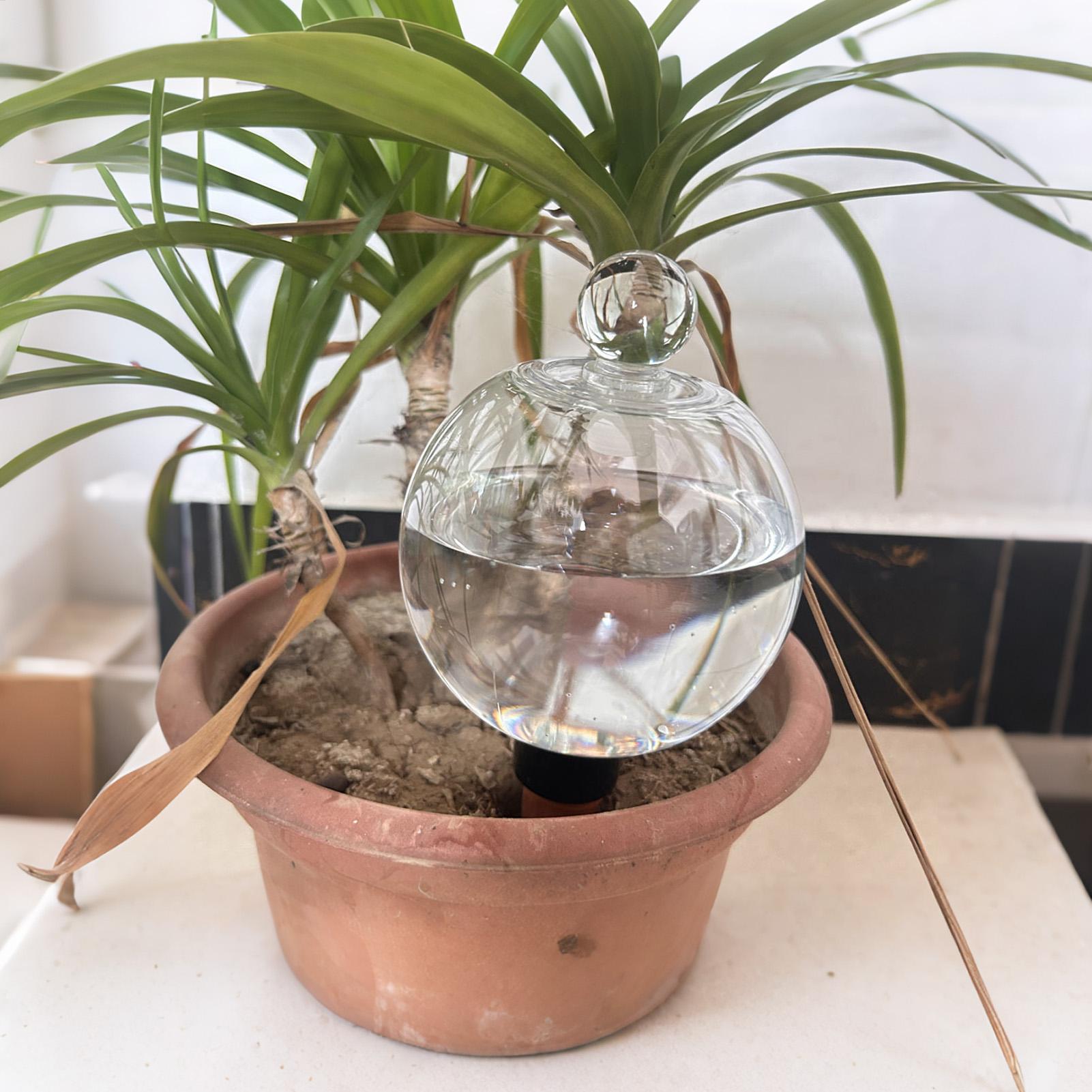 หลอดรดน้ำต้นไม้ 4 ชิ้น 500 มล. - Automatic Plant Waterer บทวิจารณ์และราคา