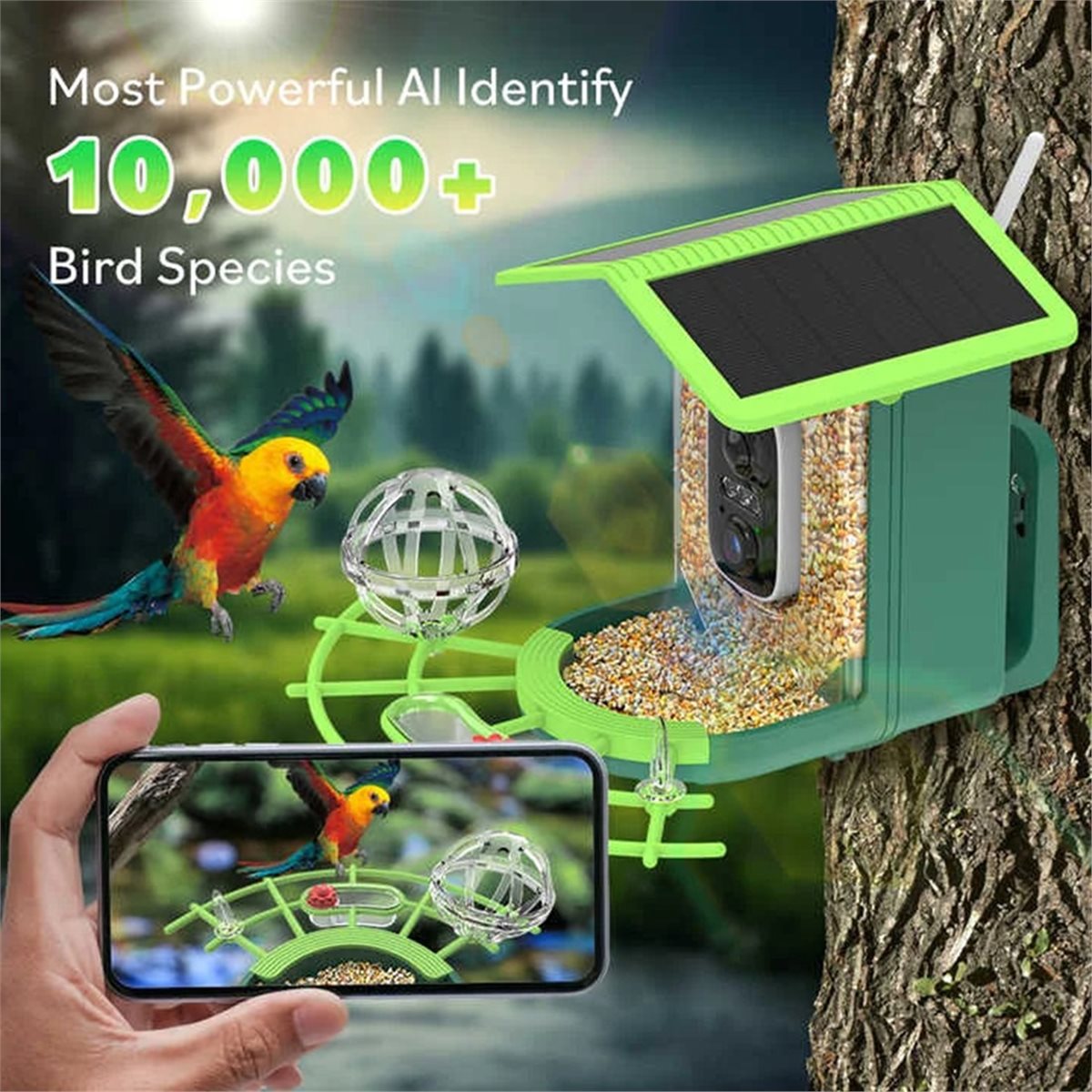 กล้องให้อาหารนกอัจฉริยะ ABPP พ - Gardening Tools Video บทวิจารณ์และราคา