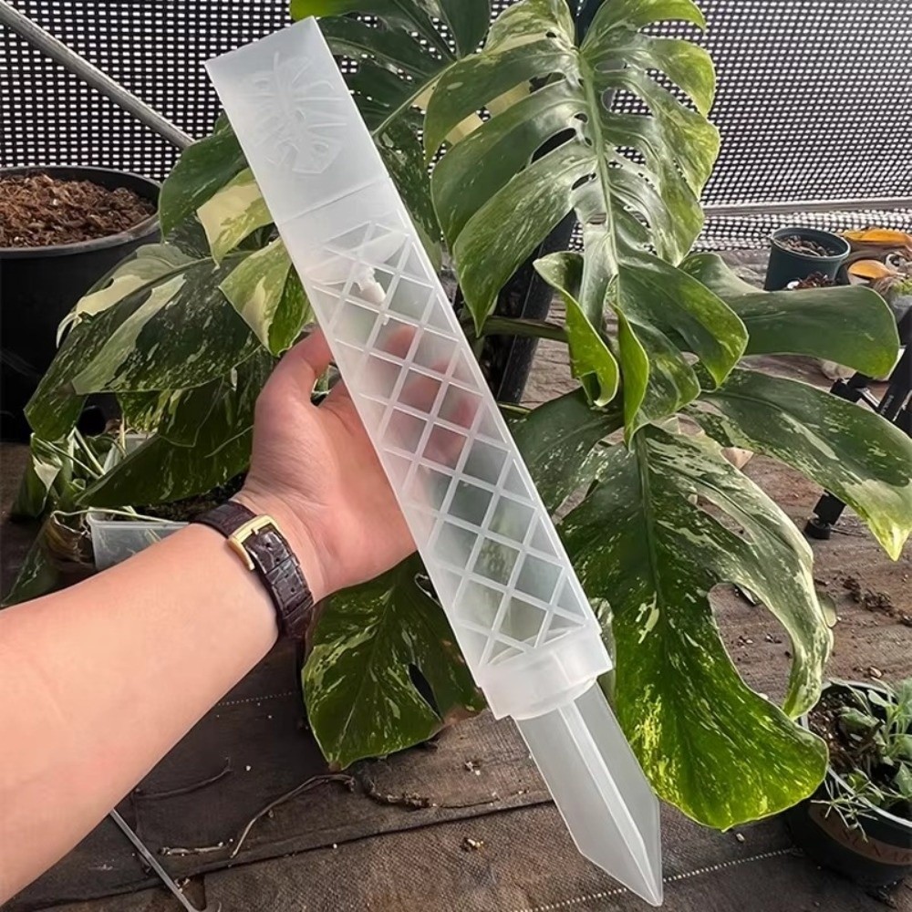 เสาพลาสติกรูปตัว D สำหรับรดน้ำ - Automatic Plant Waterer บทวิจารณ์และราคา