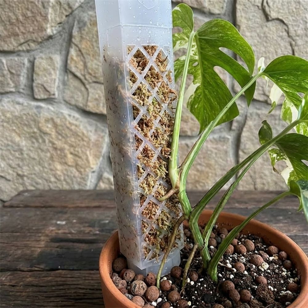 เสาพลาสติกรูปตัว D สำหรับรดน้ำ - Automatic Plant Waterer บทวิจารณ์และราคา