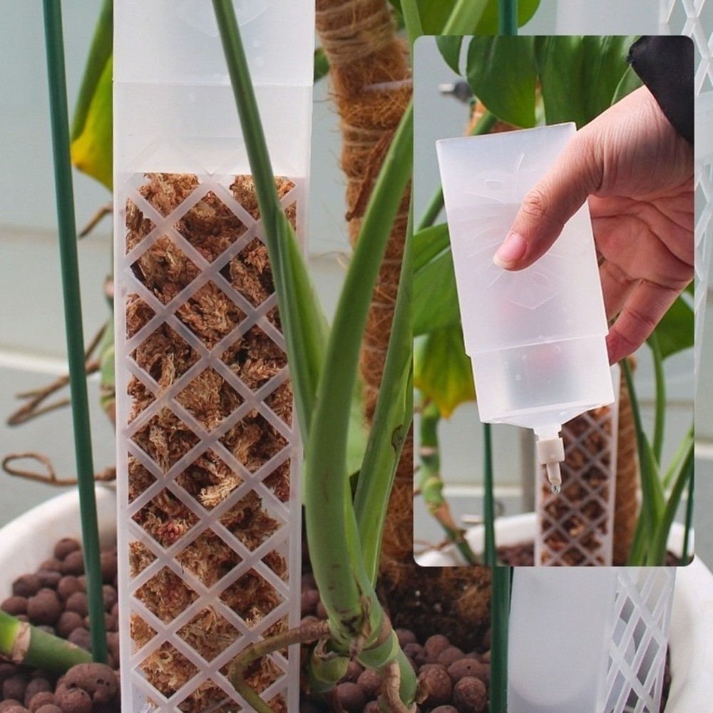 เสาพลาสติกรูปตัว D สำหรับรดน้ำ - Automatic Plant Waterer บทวิจารณ์และราคา