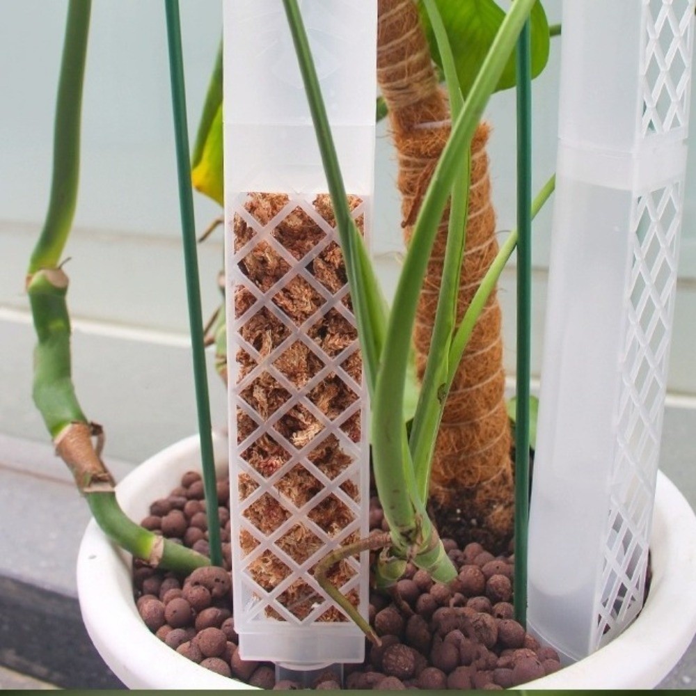 เสาพลาสติกรูปตัว D สำหรับรดน้ำ - Automatic Plant Waterer บทวิจารณ์และราคา