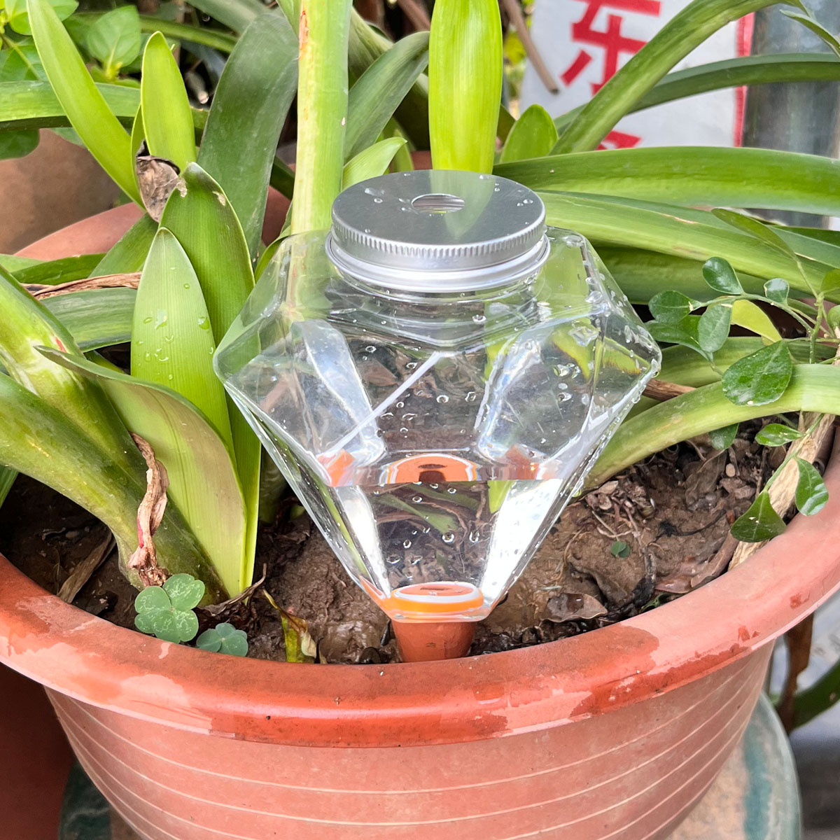 เครื่องรดน้ำต้นไม้พลาสติกน่ารั - Automatic Plant Waterer บทวิจารณ์และราคา