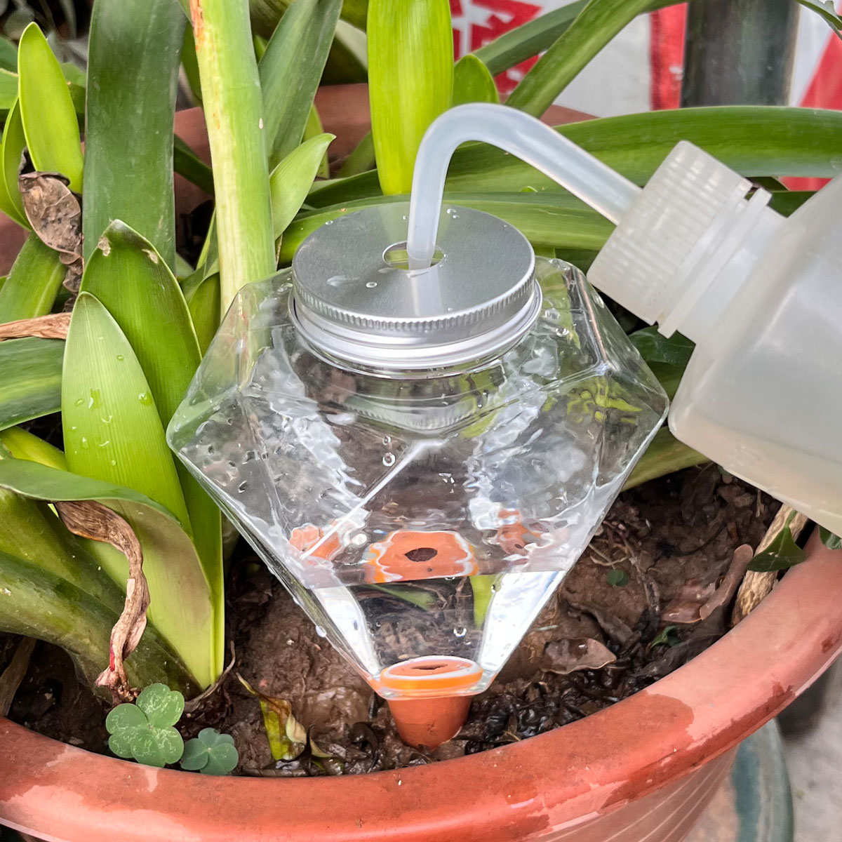 เครื่องรดน้ำต้นไม้พลาสติกน่ารั - Automatic Plant Waterer บทวิจารณ์และราคา