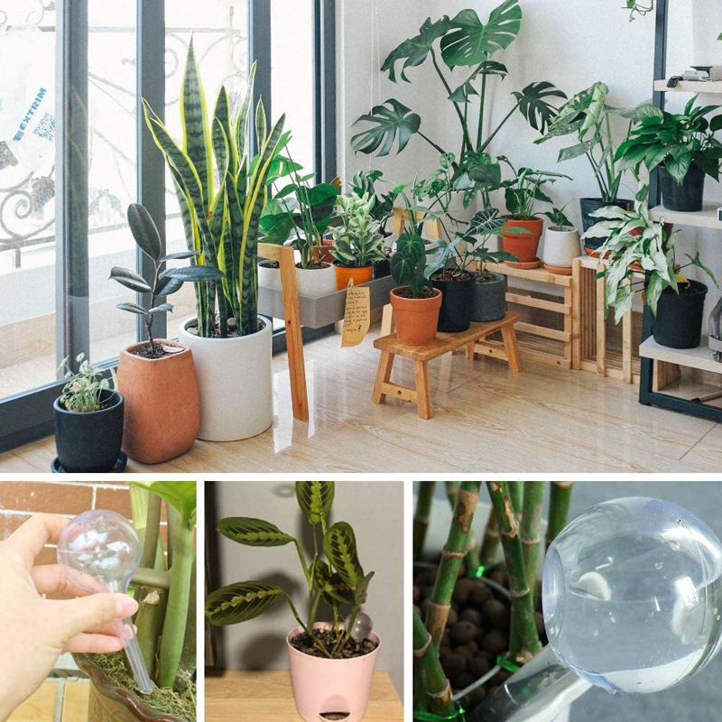 5/10PCS พืชรดน้ําอัตโนมัติหลอด - Automatic Plant Waterer บทวิจารณ์และราคา